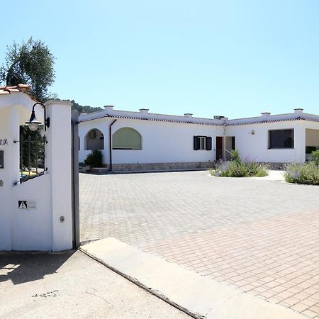 Annaluce Apartments Vieste Exterior photo