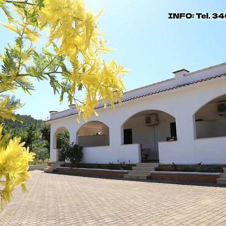 Annaluce Apartments Vieste Exterior photo